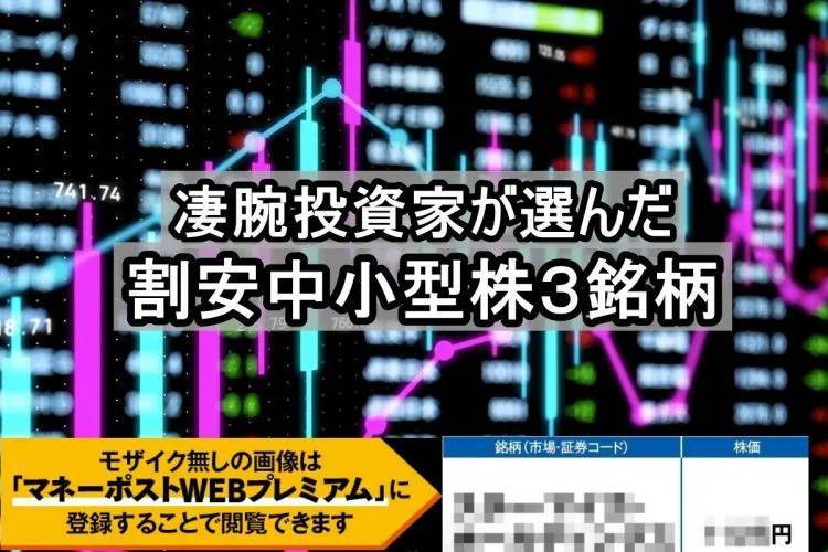 中金持ちを目指す人の「新成長株」戦略 日本再生銘柄・爆騰予報175 中金持ちを目指す人の「新成長株」戦略 日本再生銘柄・爆騰予報175