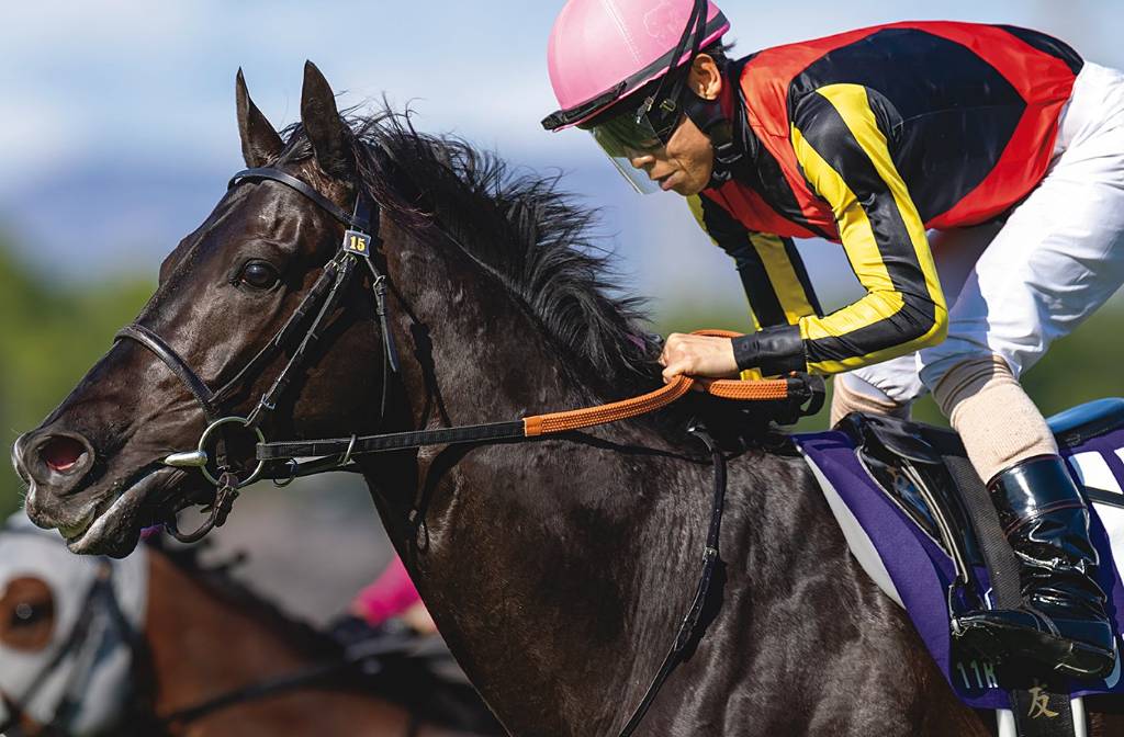 【レア】競馬必勝本  『覇王』 レア】競馬必勝本 『覇王』 - メルカリ