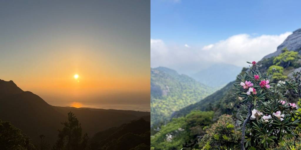 屋久島で森林浴｜黒味岳登山と新スイートが誕生した「サンカラ ホテル